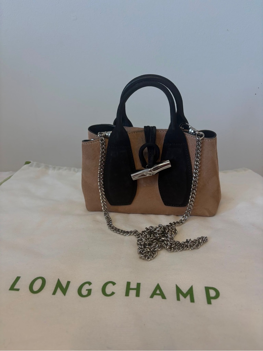 Longchamp Roseau limited edition only in Europe suede.